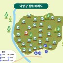 청학로114번길1 | 횡성 청태산 자연휴양림 야영장 캠핑후기, 숲속 데크 산책로 걷기, 둔내막국수