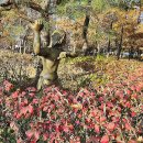 암사역사공원 이미지