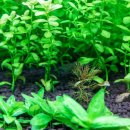 유경2호 이미지