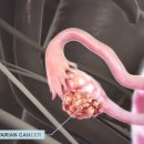 (주)엔젤바이오 이미지