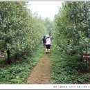 평창농원 이미지