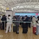 굿모닝하나여행