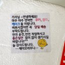 제이브라우니 이미지