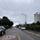 바가텔 | 서귀포 위미 바가텔 내돈내산 후기 제주빵지순례로 추천하는 서귀포 남원 빵집