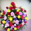 박은선산부인과의원 이미지