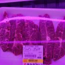 숲속애소 이미지