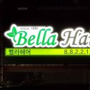 벨라헤어 이미지