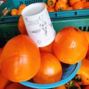 아름이농장 이미지