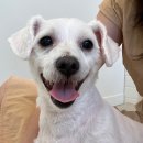 멍무이 쌀롱 이미지