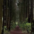 케이-슈퍼마켓 이미지