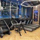 브라운 휘트니스 이미지