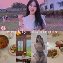 일호농장 | 출근하고 퇴근하는 실내 인간의 일주일 (행궁동 나들이, 루꼴라 기르기 수확)