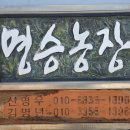 상조농장 네이버블로그