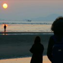솔레 이미지
