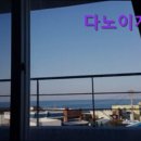 다노이 | 제주도 게하 게스트하우스 숙소 펜션 다노이게스트하우스 조용한 제주도 게하