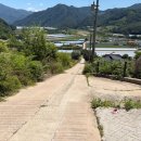 평창 애견 동반 가능[산멍스테이] 로얄룸 후기