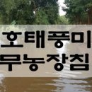비안농장 이미지