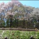 금잔디유치원 이미지