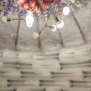 동문파크 | 제주여행 2일차(25.11.2)-카페 고효, 수목원테마파크, 감귤따기체험,동문시장, 찰리공장