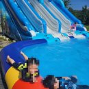 센티마르 이미지