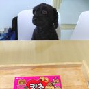 서후매점 | 칸쵸 이름 리스트 칸쵸 구하기