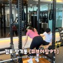 피브이짐 이미지