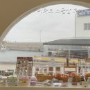보배 민박 | 제주도 서쪽 소품샵, 책방 후기(아워아일랜드아워제주, 수풀, 무무제주, 보배책방)