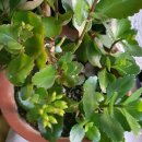 정호현비뇨기과의원 이미지