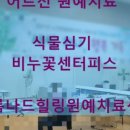 와전경로당 네이버블로그