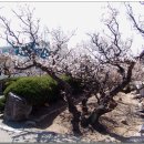 김해건설공업고등학교 이미지