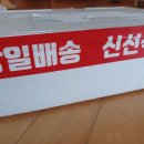 마리오푸드 이미지