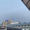 포아시스주 | 2021 포스코 취업아카데미 8기 2주차 대면 수업/ 디자인싱킹/ 현장조사/ 밥