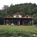 안나하우스벨리 이미지