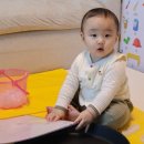 파파홈 | 방문 미술 수업 홈문센 ‘ 파파덕 ’ 8개월 아기 첫 수업 후기