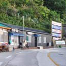 낙원민박 | 울릉도 가성비 숙소추천 - 낙원 민박 후기 (내돈내산)