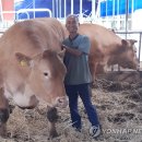 축협슈퍼 - 북구 | 축협슈퍼