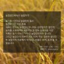농업회사법인주식회사한도라지