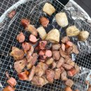 머드공주펜션 이미지