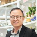 스노우폭스플라워 이미지