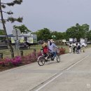 밀양아리랑 오토캠핑장 네이버블로그