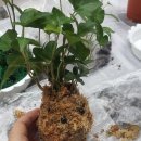 선부종합사회복지관 이미지