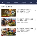 잘나가는 강아지 이미지