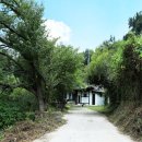 성주 별고을길 1코스 이미지