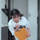 해방방역