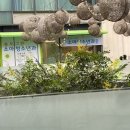 송도그린소아청소년과의원 네이버블로그