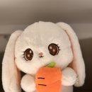 다 채움 | 동래에스테틱 부산 명륜동 수기관리 후 광채 찾은 채움뷰티랩