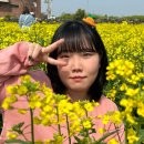 카페봄봄예래점 | 밋주 in 제주 [2]