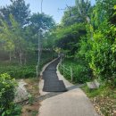 우장산공원길 이미지