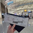 4616 | 1. 중국 칭다오 산동항공 SC4616, SC4619 탑승후기/ 기내식/ 좌석 간격/ 칭다오 입국 소요시간 + 입국...