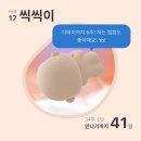 대창세탁 | [임신 일기] 임신 34주차 설연휴 신생아용품 아기 세탁 타이니모빌 트립트랩 블랙 콩제슬레드 체리딸랑이